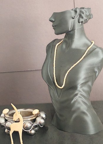 Fildişi takım - Görsel 2