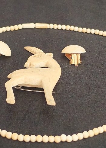 Fildişi takım - Görsel 3