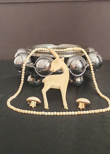 Fildişi takım - Görsel 4