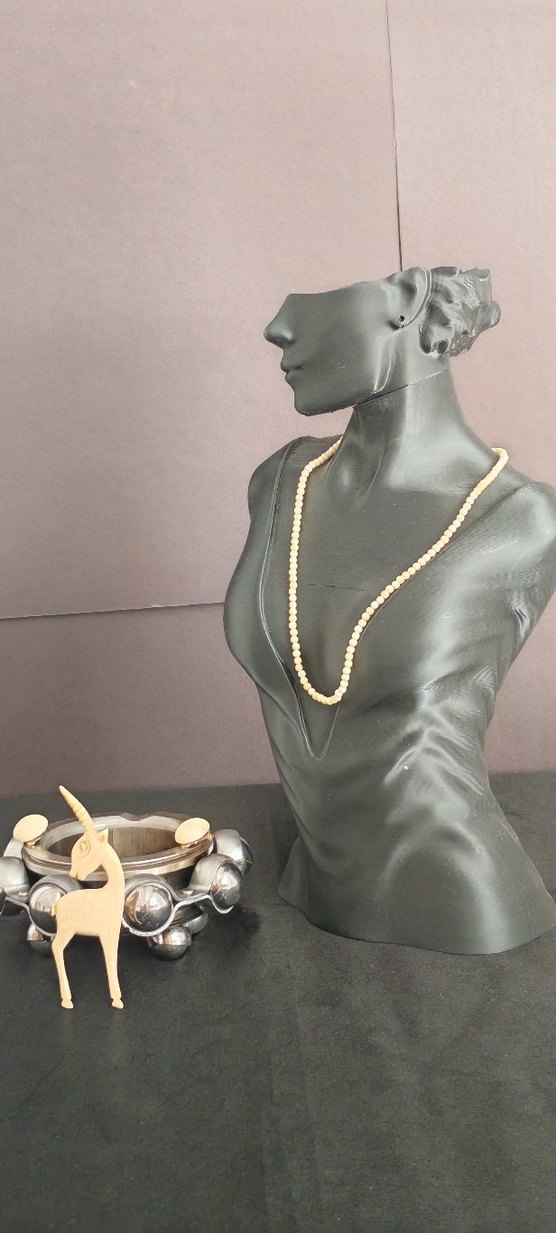 Fildişi takım - Görsel 2