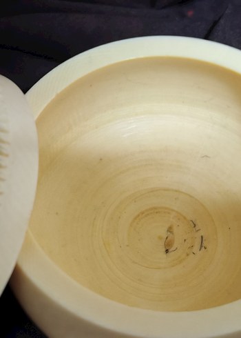 Fil dişi şekerlik - Görsel 5