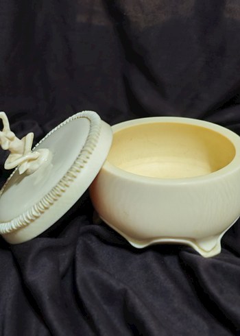 Fil dişi şekerlik - Görsel 7