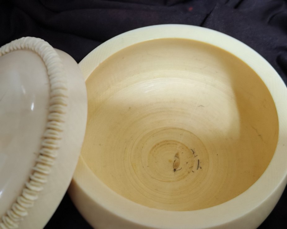 Fil dişi şekerlik - Görsel 5