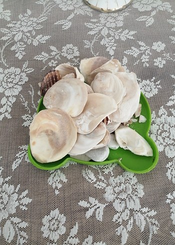 Beyaz Göğüs Pedi denız tasss - Görsel 2