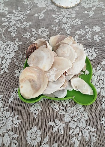 Beyaz Göğüs Pedi denız tasss - Görsel 3