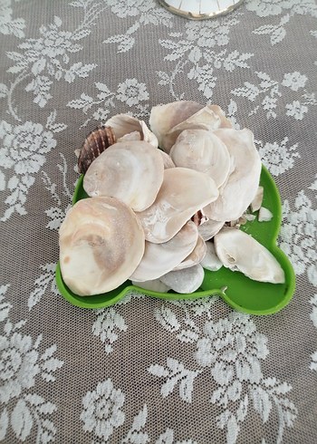 Beyaz Göğüs Pedi denız tasss - Görsel 5