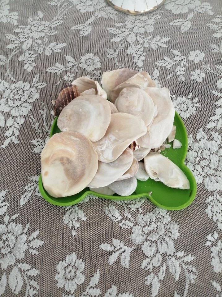 Beyaz Göğüs Pedi denız tasss - Görsel 2