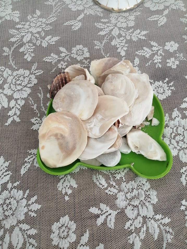 Beyaz Göğüs Pedi denız tasss - Görsel 4