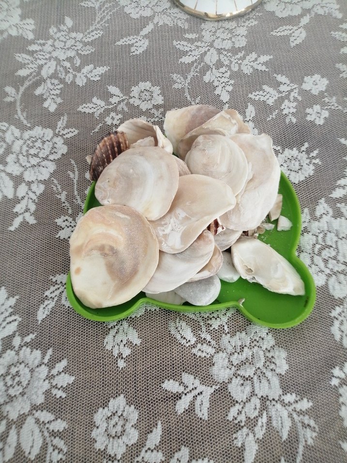 Beyaz Göğüs Pedi denız tasss - Görsel 5