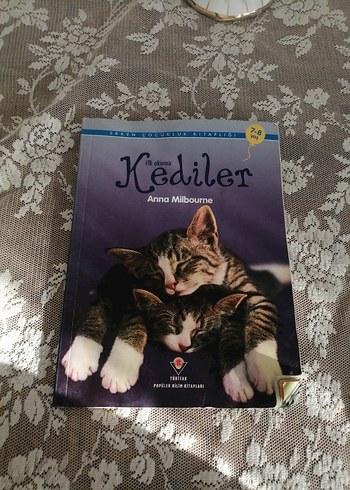 Kediler - Anna Milbourne Şiir Kitabı - Görsel 2