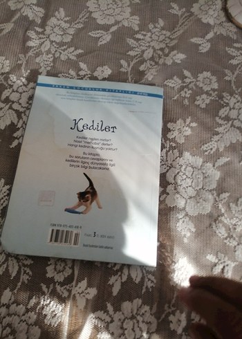 Kediler - Anna Milbourne Şiir Kitabı - Görsel 5