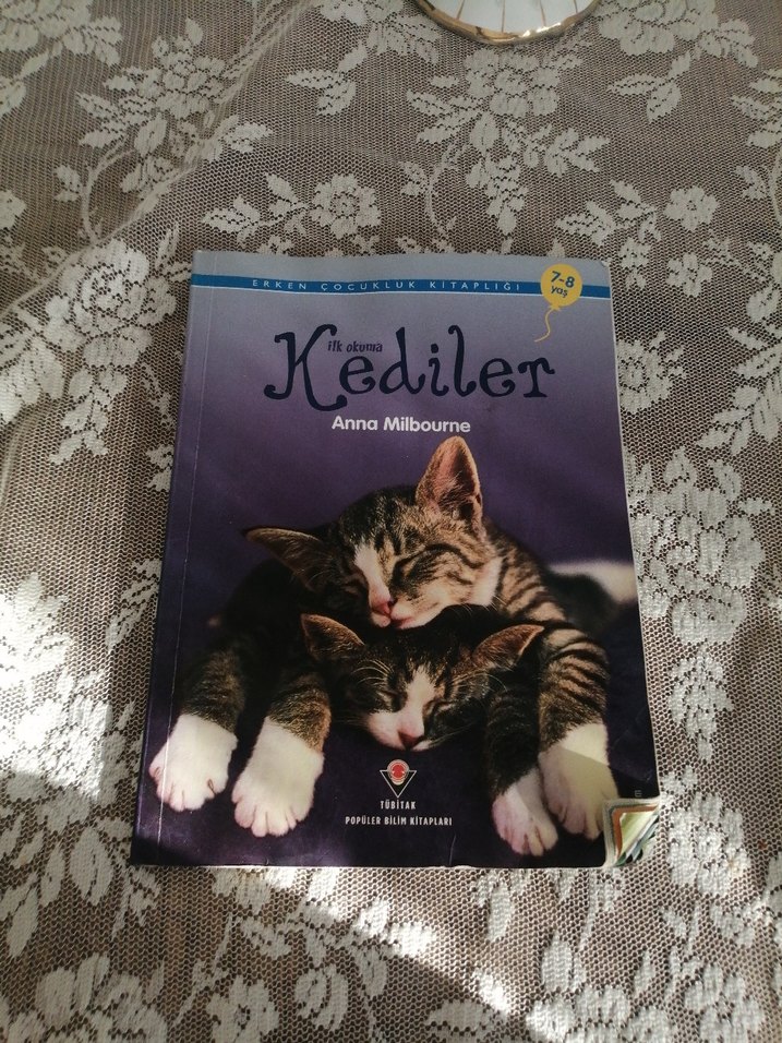 Kediler - Anna Milbourne Şiir Kitabı - Görsel 2