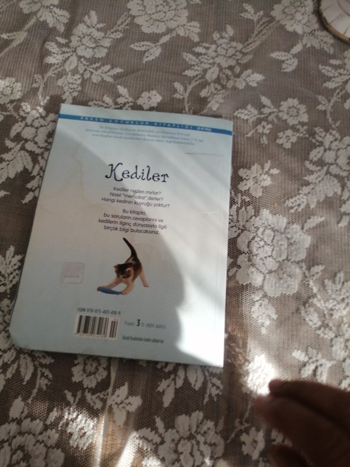 Kediler - Anna Milbourne Şiir Kitabı - Görsel 5