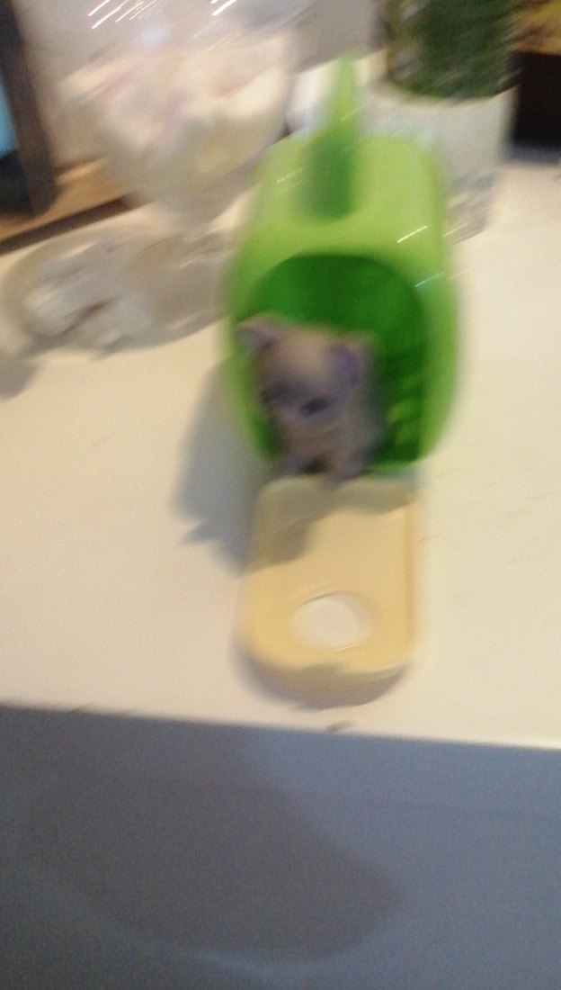 Pastel Yeşil Kedi Taşıma Kabı - Görsel 2