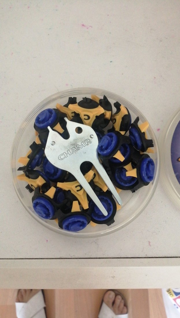 Mavi Parlak Kedi Aksesuarları - Champ - Görsel 3