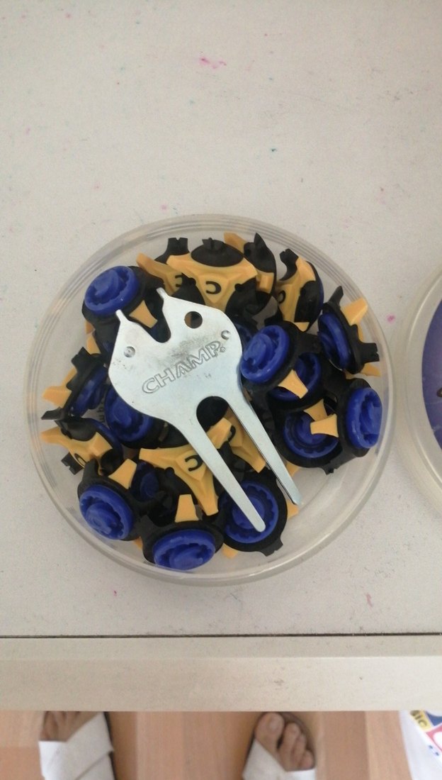 Mavi Parlak Kedi Aksesuarları - Champ - Görsel 4