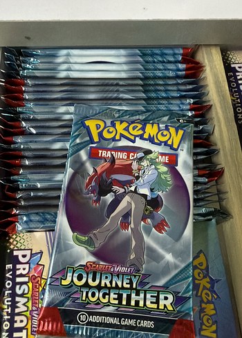 Pokémon Journey Together Ekstra Oyun Kartları