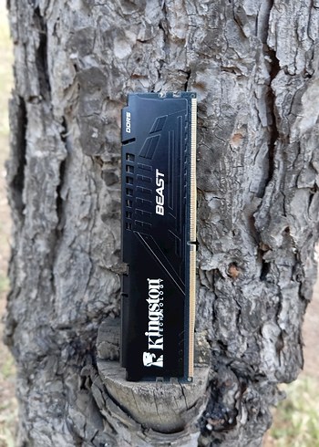 Kingston Beast Siyah DDR5 RAM