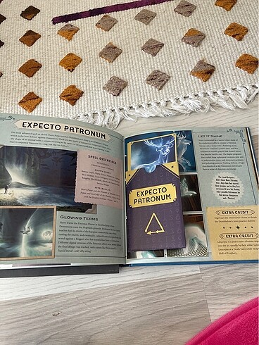Beden Harry potter scrapbook