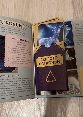 Harry Potter Kitabı - Görsel 5