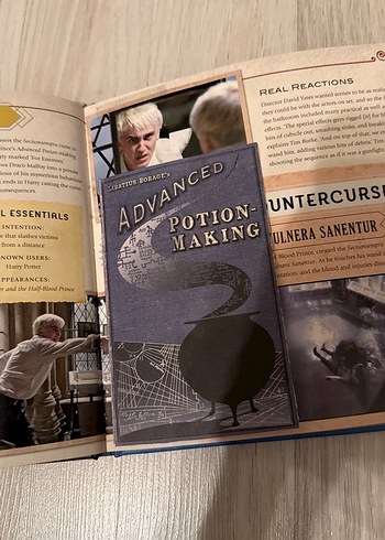 Harry Potter Kitabı - Görsel 6