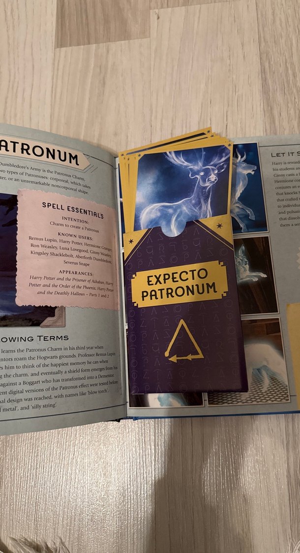 Harry Potter Kitabı - Görsel 5