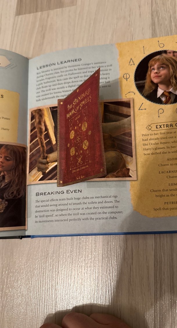 Harry Potter Kitabı - Görsel 3