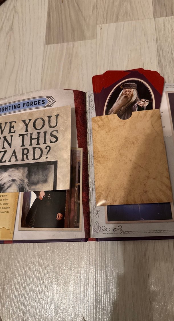 Harry Potter Kitabı - Görsel 4