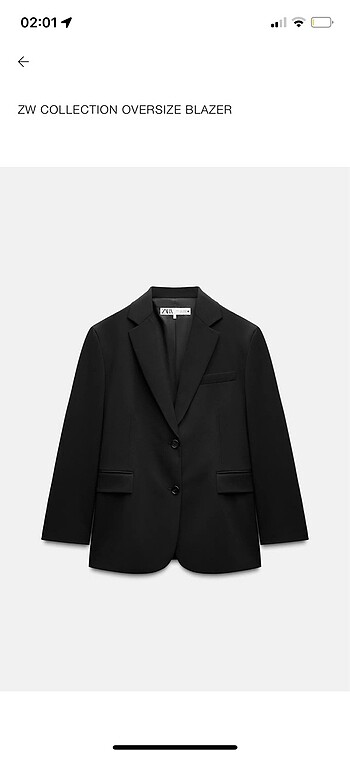 Zara Oversize Blazer