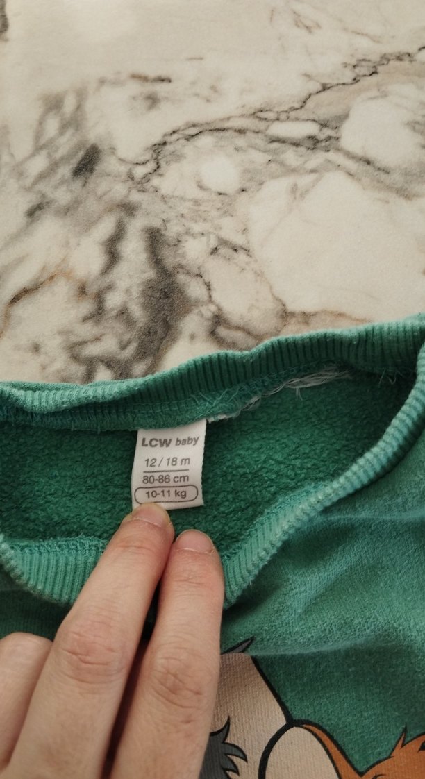 LCW baby Yeşil Uzun Kollu Sweatshirt 12-18 ay - Görsel 3