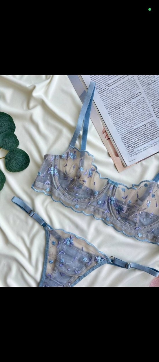 Mavi NakışlıSütyen Takımı - Görsel 2