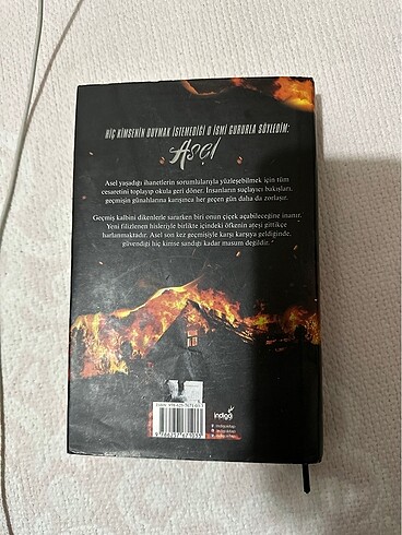 Sena Nur Işık-Asel (ciltli)