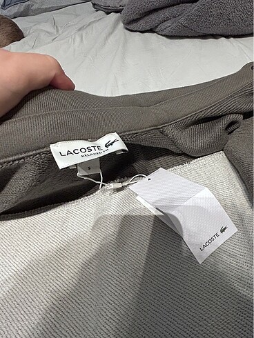 Lacoste orijinal