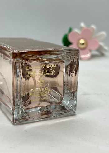 Marc-Antoine Barrois Tilia - Görsel 4