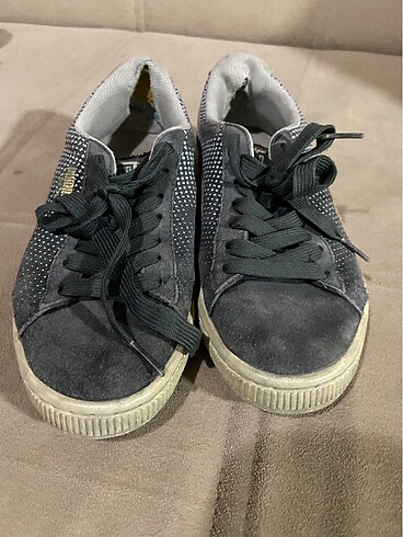 Puma 37