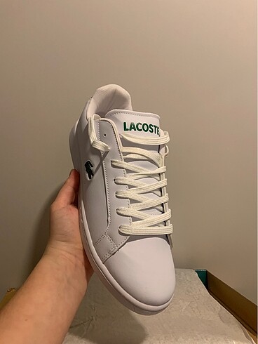 42 Beden beyaz Renk Lacoste orj