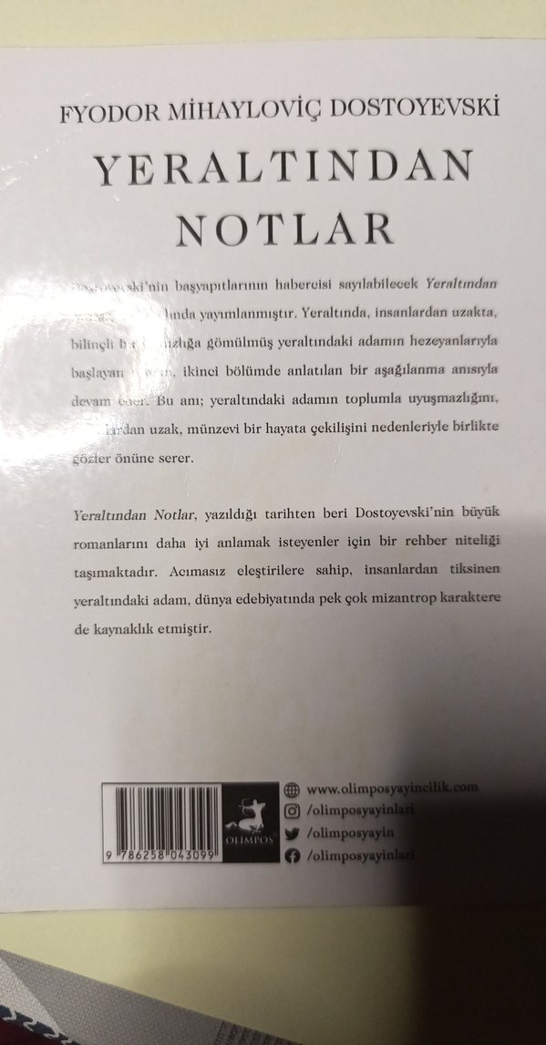 Yeraltından Notlar - Fyodor Dostoyevski - Görsel 2