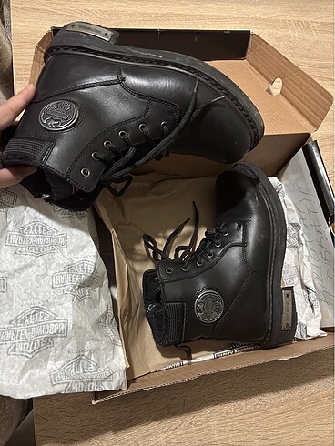 37 Beden Harley Davidson Bot