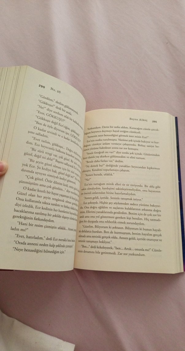 No. 26 - Beyza Alkoç Roman - Görsel 2