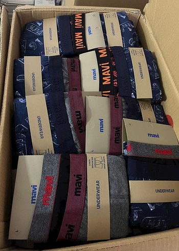 Mavi Mavi Erkek Baskılı Mini Boxer 2'li Set