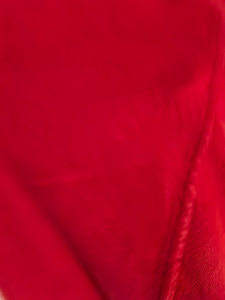 Kadın Kırmızı Düğmeli Denim Ceket - Görsel 3