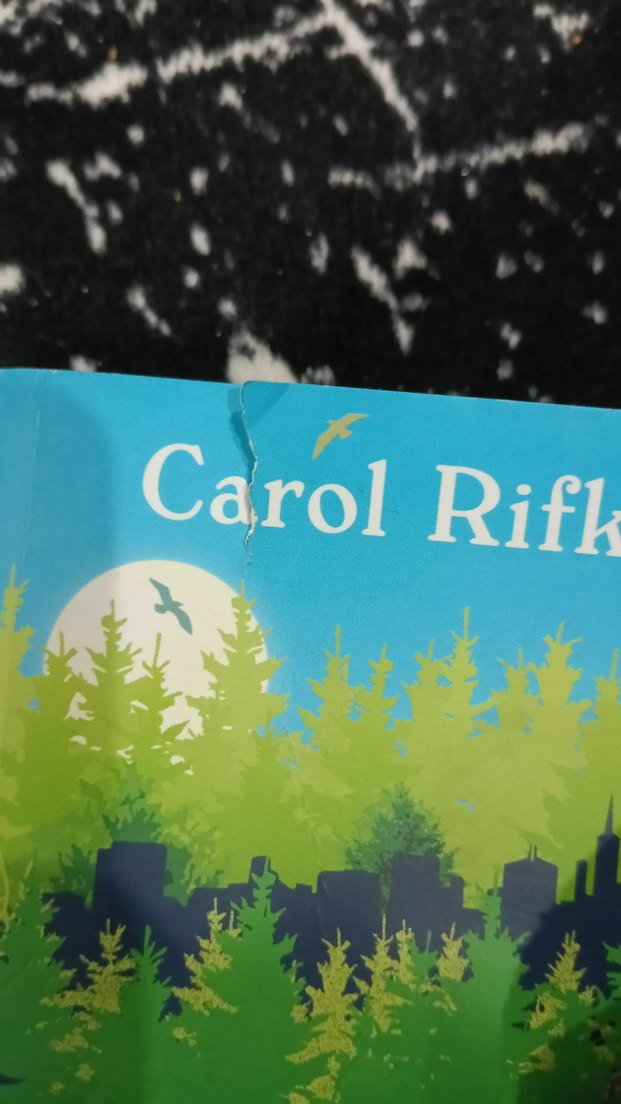 Kurtlara Söyle Eve Döndüm - Carol Rifka Brunt - Görsel 3