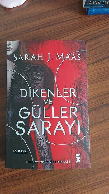 Dikenler ve güller sarayı