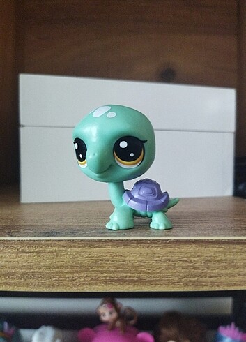 LPs minis