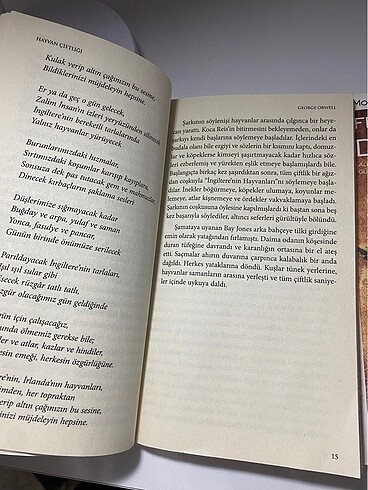 Beden Renk kitap