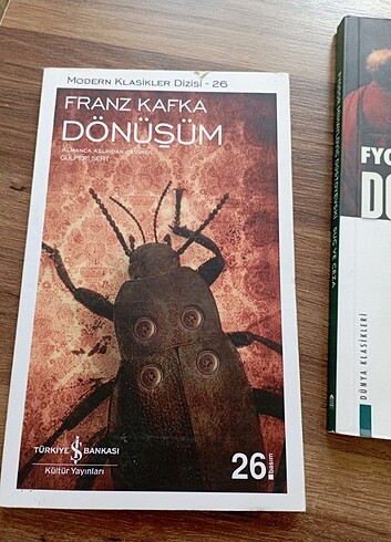 KİTAP FRANZ KAFKA DÖNÜŞÜM
