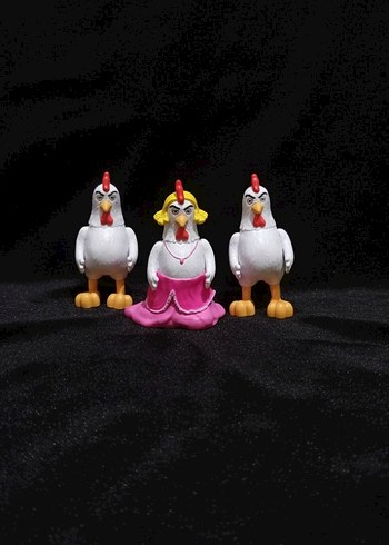 Sinirligiller ailesinden tavuk ve horozlar