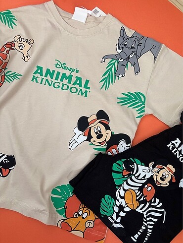 6 Yaş Beden çeşitli Renk Erkek mickey mouse safari takım