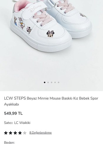 Walt Disney World 24