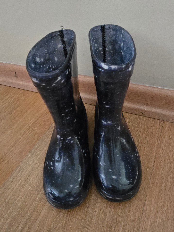 LCW Mavi Desenli Erkek Çocuk Lastik Çizme - Görsel 2